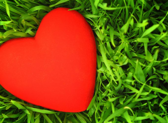 Stock Images love image, heart, grass, 5k, Stock Images 408993342